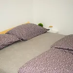 Apartmán Vikendica Farah